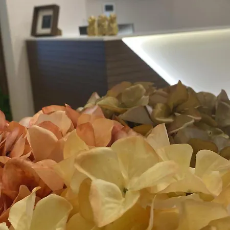Amabile Luxury * Sant'Antonio Abate